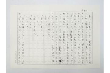 特別限定愛蔵版　開高健　「夏の闇」　原寸408枚　直筆原稿(2008年、開高記念会、直筆、二重箱付)(R-077004)