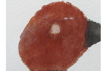 真作　柚木沙弥郎　「デコイ」　サイン入り　5号　リトグラフ(版画、絵画、額装、鴨、共シール)(R-077072)