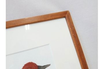 真作　柚木沙弥郎　「デコイ」　サイン入り　5号　リトグラフ(版画、絵画、額装、鴨、共シール)(R-077072)