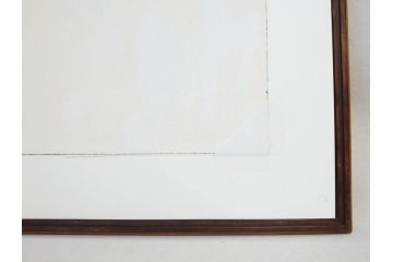真作　柚木沙弥郎　「デコイ」　サイン入り　5号　リトグラフ(版画、絵画、額装、鴨、共シール)(R-077072)