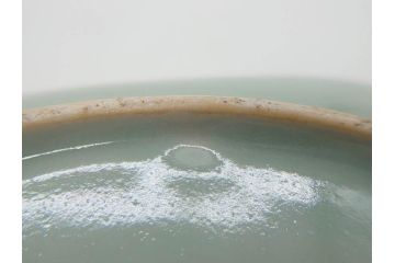 江戸期　古伊万里　青磁　金彩　蔦文　約18cm　6寸　金彩が上品なアクセントになる変形皿3枚セット(六寸、中皿、和食器、和皿)(R-077091)