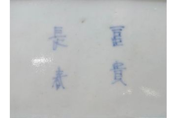 江戸期　古伊万里　染付　冨貴長春　約21cm　7.1寸　牡丹蛸唐草文　細やかで力強く描かれた文様が魅力的な長皿2枚セット(七寸一分、和食器、和皿)(R-077093)