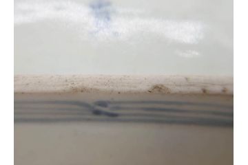 江戸期　古伊万里　染付　冨貴長春　約21cm　7寸　牡丹蛸唐草文　細やかで力強く描かれた文様が魅力的な長皿(七寸、和食器、和皿)(R-077094)