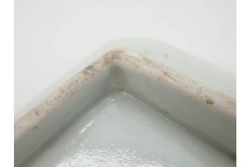 江戸期　古伊万里　染付　冨貴長春　約21cm　7寸　牡丹蛸唐草文　細やかで力強く描かれた文様が魅力的な長皿(七寸、和食器、和皿)(R-077095)