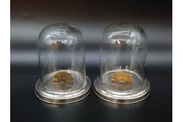 当時物　お洒落なディスプレイが叶うガラスドーム2点セット(昔のたばこ屋さん、タバコディスプレイ、ガラス瓶、陳列ケース、見本入れ、コレクションケース、グローブドマリエ、グローブ・ド・マリエ)(R-077101)