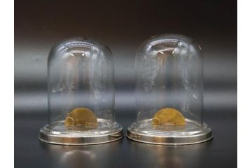 当時物　お洒落なディスプレイが叶うガラスドーム2点セット(昔のたばこ屋さん、タバコディスプレイ、ガラス瓶、陳列ケース、見本入れ、コレクションケース、グローブドマリエ、グローブ・ド・マリエ)(R-077101)