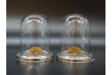当時物　お洒落なディスプレイが叶うガラスドーム2点セット(昔のたばこ屋さん、タバコディスプレイ、ガラス瓶、陳列ケース、見本入れ、コレクションケース、グローブドマリエ、グローブ・ド・マリエ)(R-077117)