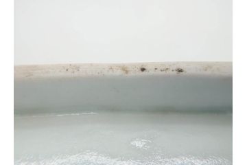 江戸期　古伊万里　染付　冨貴長春　約21cm　7寸　牡丹蛸唐草文　細やかで力強く描かれた文様が魅力的な長皿(七寸、和食器、和皿)(R-077133)