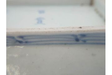 江戸期　古伊万里　染付　富貴長春　約21.5cm　7.1寸　牡丹蛸唐草文　細やかで力強く描かれた文様が魅力的な長皿(七寸一分、和食器、和皿)(R-077134)