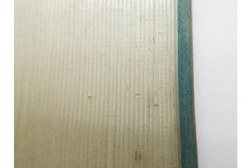 希少　大正〜昭和初期　当時物　「各種ソーダ水」　ガラス看板(広告、店頭用、硝子製、昭和レトロ、ディスプレイ)(R-077168)