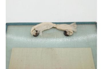 希少　大正〜昭和初期　当時物　「特製ミルクセーキ」　ガラス看板(広告、店頭用、硝子製、昭和レトロ、ディスプレイ)(R-077169)