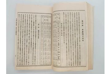 大正元年　「埼玉県水害誌」　洪水氾濫之図付き(埼玉県庁、災害、地誌、和書、古書、古本、古文書、古地図、附図)(R-077218)