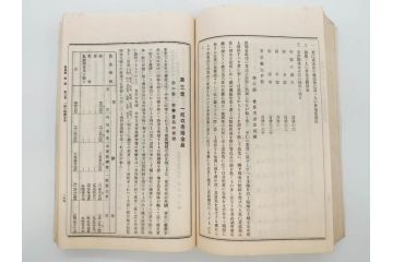 大正元年　「埼玉県水害誌」　洪水氾濫之図付き(埼玉県庁、災害、地誌、和書、古書、古本、古文書、古地図、附図)(R-077218)