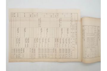 大正元年「陸軍特別大演習埼玉県記録」　昭和八年「点呼参会者の為に」　2冊セット(埼玉県庁、海軍省人事局、和書、古書、古本、古文書)(R-077219)