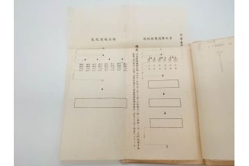 大正元年「陸軍特別大演習埼玉県記録」　昭和八年「点呼参会者の為に」　2冊セット(埼玉県庁、海軍省人事局、和書、古書、古本、古文書)(R-077219)