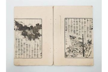 明治　幼年文学　鬼桃太郎　尾崎紅葉/幼年文学第二　猿蟹後日譚　大江小波(博文館、木版画、和本、和書、一名・猿蟹弔合戦)(R-077234)