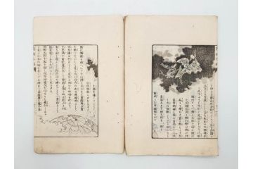 明治　幼年文学　鬼桃太郎　尾崎紅葉/幼年文学第二　猿蟹後日譚　大江小波(博文館、木版画、和本、和書、一名・猿蟹弔合戦)(R-077234)