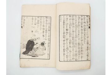 明治　幼年文学　鬼桃太郎　尾崎紅葉/幼年文学第二　猿蟹後日譚　大江小波(博文館、木版画、和本、和書、一名・猿蟹弔合戦)(R-077234)