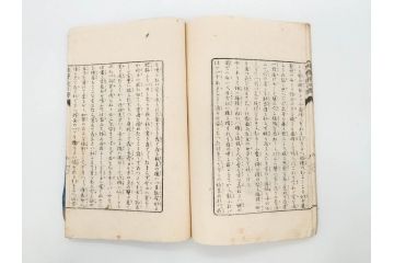 明治　幼年文学　鬼桃太郎　尾崎紅葉/幼年文学第二　猿蟹後日譚　大江小波(博文館、木版画、和本、和書、一名・猿蟹弔合戦)(R-077234)