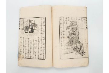 明治　幼年文学　鬼桃太郎　尾崎紅葉/幼年文学第二　猿蟹後日譚　大江小波(博文館、木版画、和本、和書、一名・猿蟹弔合戦)(R-077234)