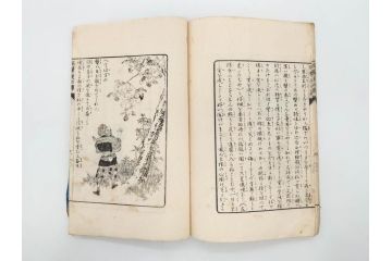 明治　幼年文学　鬼桃太郎　尾崎紅葉/幼年文学第二　猿蟹後日譚　大江小波(博文館、木版画、和本、和書、一名・猿蟹弔合戦)(R-077234)
