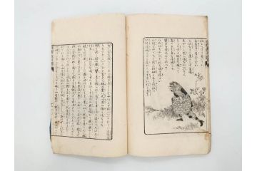 明治　幼年文学　鬼桃太郎　尾崎紅葉/幼年文学第二　猿蟹後日譚　大江小波(博文館、木版画、和本、和書、一名・猿蟹弔合戦)(R-077234)