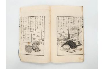 明治　幼年文学　鬼桃太郎　尾崎紅葉/幼年文学第二　猿蟹後日譚　大江小波(博文館、木版画、和本、和書、一名・猿蟹弔合戦)(R-077234)