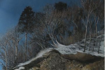 真作　黒澤信男　「華厳の滝」　F120(120号)　サイン入り　絵画(油絵、油彩、風景画、額装、共箱付き)(R-077251)