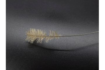 大正〜昭和初期　FEEDING BOTTLE　I.IWASAKI&CO.　レトロなディスプレイを盛り上げるエンボス瓶(哺乳瓶、ボトル、日本製、ガラス瓶)(R-077396)