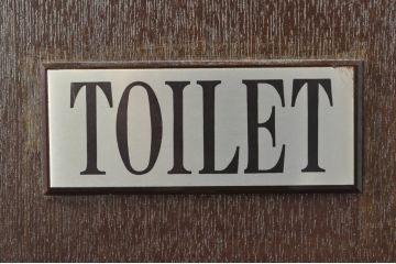 ビンテージ建具　『TOILET』プレート付き合板ドア1枚(木製扉、ヴィンテージ)(R-077428)