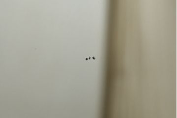 フランスアンティーク　特大　カービングフレーム　ペイント　ロココ調の細やかで豪華な彫刻が美しいウォールミラー(壁掛け鏡、姿見、店舗什器)(R-077431)