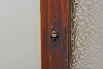 アンティーク建具　どこか懐かしさを感じるドア1枚(ガラス扉、木製扉)(R-077436)