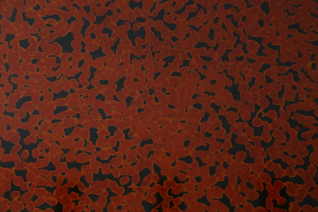 新古　未使用展示品　津軽塗りの独特な模様と特徴的な脚のデザインが目を惹く丸座卓　(R-077722)