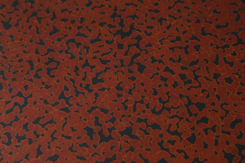 新古　未使用展示品　津軽塗りの独特な模様と特徴的な脚のデザインが目を惹く丸座卓　(R-077722)