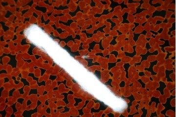 新古　未使用展示品　津軽塗りの独特な模様と特徴的な脚のデザインが目を惹く丸座卓　(R-077722)