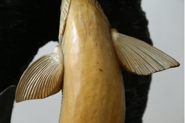 特大サイズ　高さ1m23cm　細部にまで彫り込まれた臨場感あふれる木彫りの熊　(R-077723)