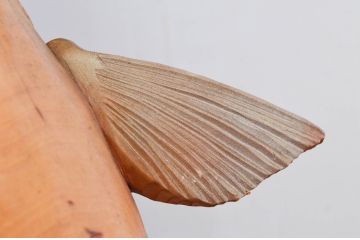 特大サイズ　高さ71cm　細部にまで彫り込まれた臨場感あふれる木彫りの熊(立像、置物、置き物、ディスプレイ、クマ、くま、鮭)(R-077723)