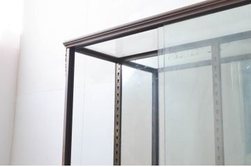 フランスアンティーク　真鍮(しんちゅう)フレームのシンプルな薄型ガラスケース(Gケース、ショーケース、ディスプレイケース、コレクションケース、キャビネット、飾り棚、陳列棚、店舗什器)(R-077730)
