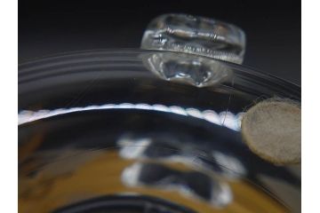 1986年　スウェーデン　KOSTA BODA(コスタボダ)　キリンビアマグコレクション　コレクターズグラス　ジュニア・ゴールド　金彩と細やかな装飾が美しいビアマグ(ジョッキ、KIRIN COLLECTORS GLASS、北欧)(R-077758)