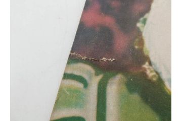 当時物　細雪　きけわだつみの声　若い人　また逢う日まで　フランス芸術祭　帝都名画座　映画パンフレットなど　50点(映画パンフ)(R‐077769)