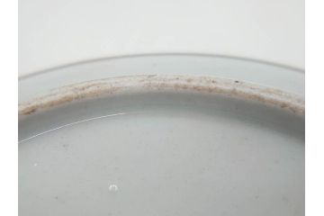明治期　九谷焼　色絵　花鳥図　約16cm　5.1寸　細かな彩色が美しい中皿5枚セット(裏印、金彩、器、うつわ、和食器、和皿、五寸一分)(R-077773)