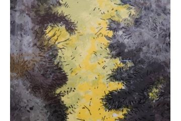 真作　1995年〜1996年　橋本広喜　絵夢工房　サイン入り　「秋の裏磐梯」57/180　「秋の熊野神社」139/150　墨彩画　豊かな自然を感じられるリトグラフ2点セット(風景画、紅葉、山、版画、壁掛け、額装、外箱付き)(R-077923)