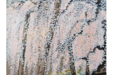 真作　2002年　橋本広喜　絵夢工房　「滝桜」　3/70　サイン入り　墨彩画　春の息吹を感じさせる満開の桜が美しいリトグラフ(版画、額付き、外箱付き)(R-077925)