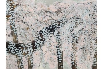 真作　2002年　橋本広喜　絵夢工房　「滝桜」　3/70　サイン入り　墨彩画　春の息吹を感じさせる満開の桜が美しいリトグラフ(版画、額付き、外箱付き)(R-077925)