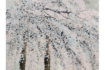 真作　2002年　橋本広喜　絵夢工房　「滝桜」　3/70　サイン入り　墨彩画　春の息吹を感じさせる満開の桜が美しいリトグラフ(版画、額付き、外箱付き)(R-077925)