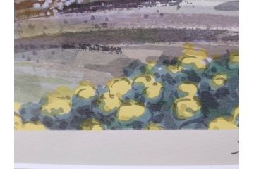 真作　2002年　橋本広喜　絵夢工房　「滝桜」　3/70　サイン入り　墨彩画　春の息吹を感じさせる満開の桜が美しいリトグラフ(版画、額付き、外箱付き)(R-077925)