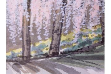 真作　2002年　橋本広喜　絵夢工房　「滝桜」　3/70　サイン入り　墨彩画　春の息吹を感じさせる満開の桜が美しいリトグラフ(版画、額付き、外箱付き)(R-077925)