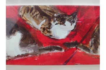 真作　久下貴史　「どこからどこまでフェデリコ」　限定39/50　サイン入り　猫の様々な表情に心が和むジクレー(Federico from End to End、版画、ジークレー、絵画、額装、額付き、外箱付き)(R-077927)
