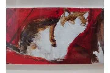 真作　久下貴史　「どこからどこまでフェデリコ」　限定39/50　サイン入り　猫の様々な表情に心が和むジクレー(Federico from End to End、版画、ジークレー、絵画、額装、額付き、外箱付き)(R-077927)