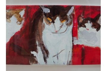 真作　久下貴史　「どこからどこまでフェデリコ」　限定39/50　サイン入り　猫の様々な表情に心が和むジクレー(Federico from End to End、版画、ジークレー、絵画、額装、額付き、外箱付き)(R-077927)